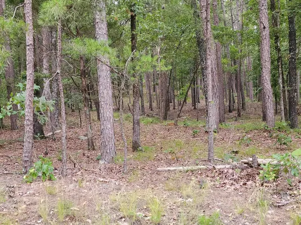(undisclosed Address), Quitman, AR 72131