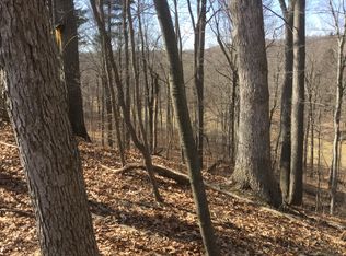 Log Cabin Lane Parcel #C, Clyde Twp, MI 48049