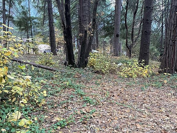 3rd image of 2900 Dixie Ln