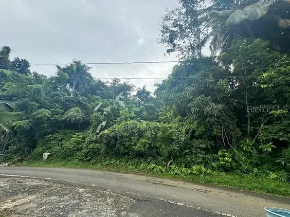 175 Bo, Caguas, PR 00725