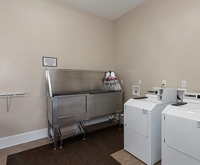 Efficient and stylish laundry space for contemporary living.