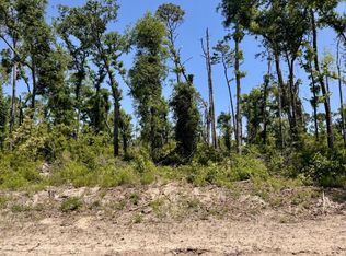 41 & 42 237th Rd, Live Oak, FL 32060