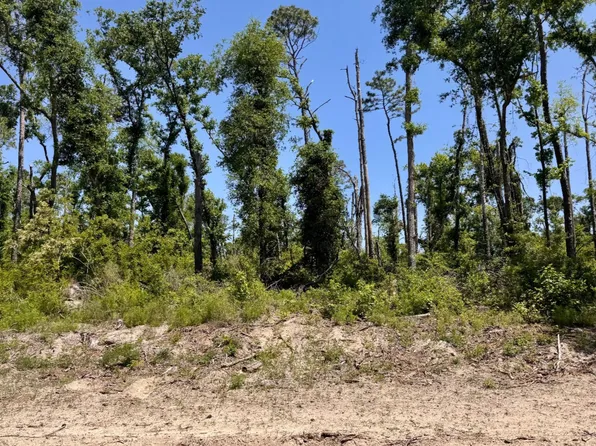 41 & 42 237th Rd, Live Oak, FL 32060