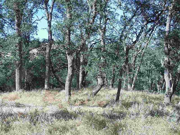5th image of 0 Bragdon Way