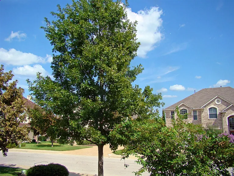 10700 Pointe View Dr — Photo 5