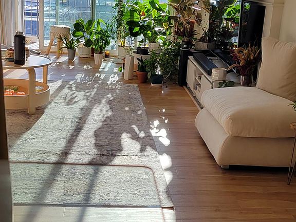 Living Room View
