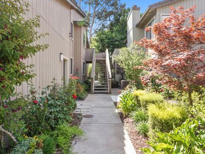 197 Del Monte Ln, Morgan Hill, CA, 95037