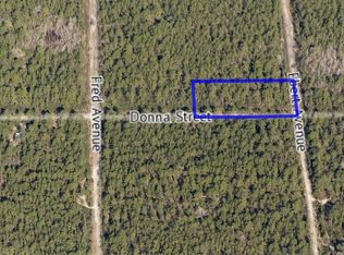 0 Donna St, Hastings, FL 32145