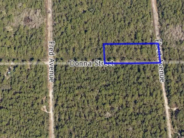 0 Donna St, Hastings, FL 32145