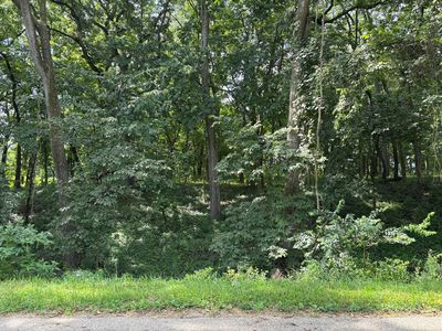 834 Lake Wildwood Dr, Varna, IL, 61375