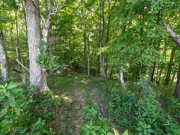 3rd image of County Road 1416 Lot Wp001