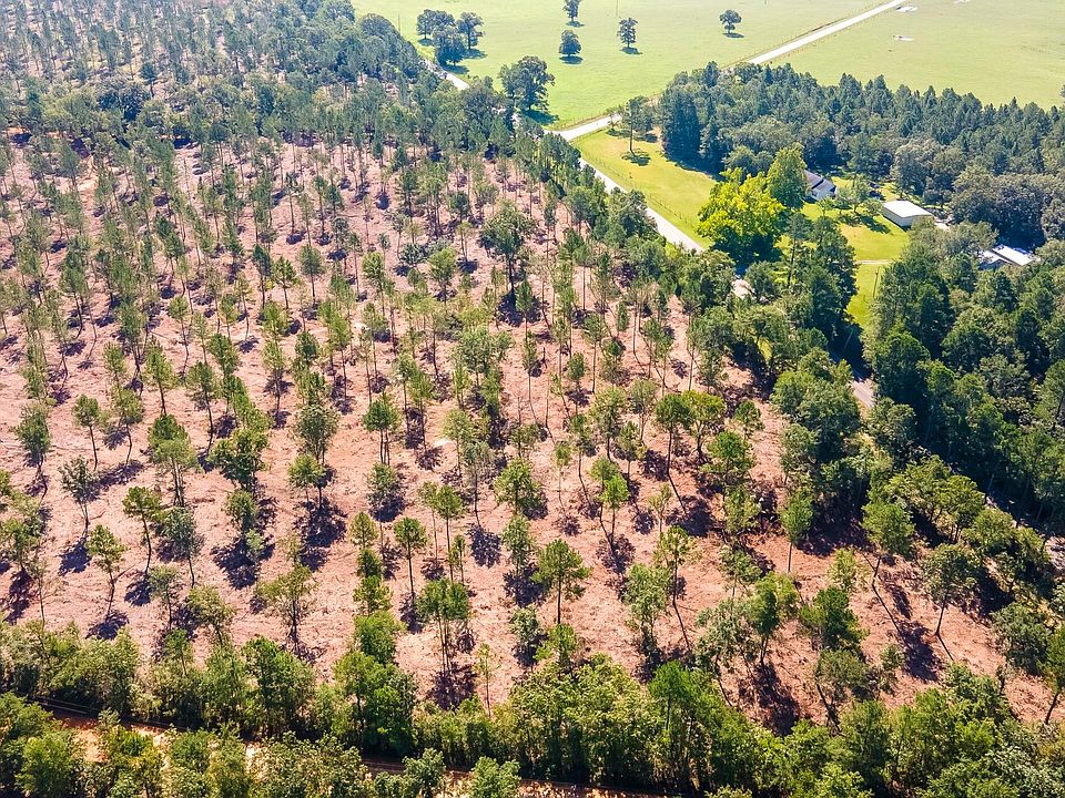 2nd image of 4 Camp Rawls & Bluffwood Rd