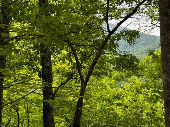 6 Pounding Mill Loop, Hayesville, NC 28904