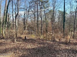 41-42 Mayflower Ln, Dandridge, TN 37725