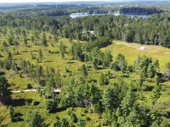 On S Bertrand Lake Rd, Gwinn, MI 49841