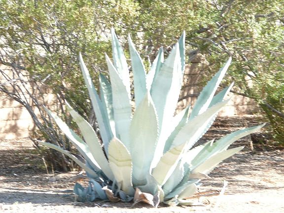 4th image of 8322 E Desert Cove Ave