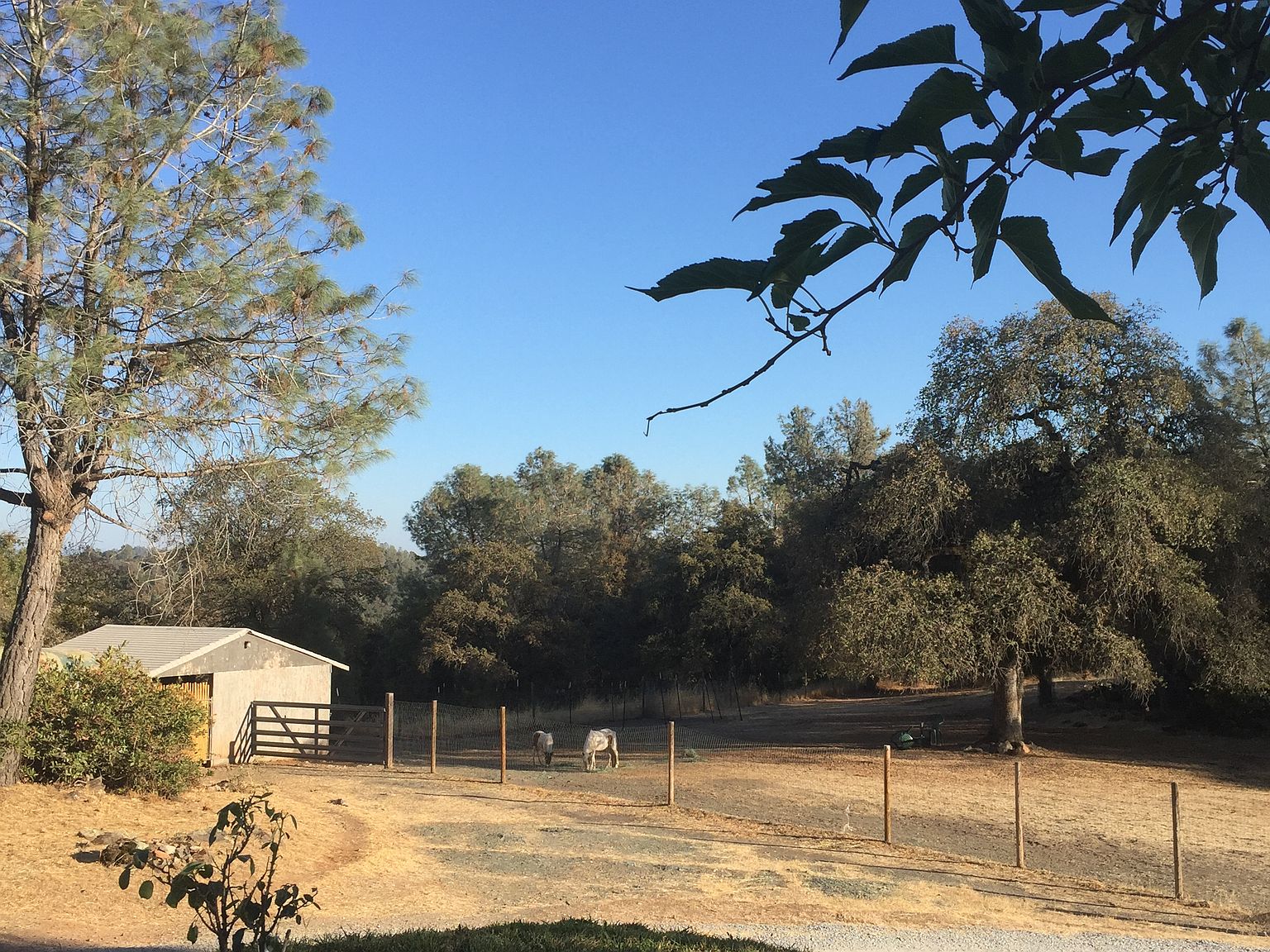 2980 Gillespie Rd, Cool, CA 95614 Zillow