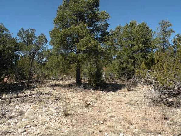 1981 Bradley Ln, Heber, AZ 85933