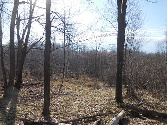 5th image of Xxx Bent Trout Lake Road Barnum Twp