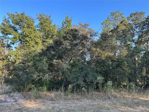 NE 148th Ter Lot 22, Williston, FL 32696