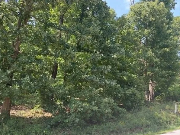 52 & 54 Kent Dr #4, Bella Vista, AR 72714