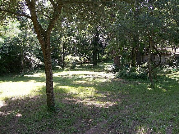 View from front yard