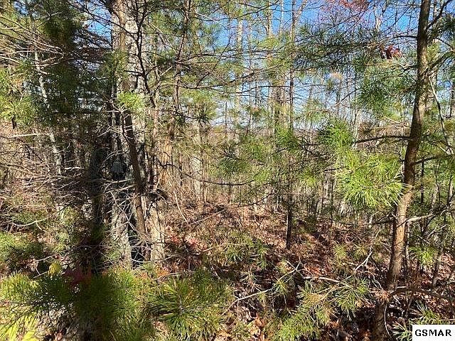 1st image of LOT 41 Elderberry Dr