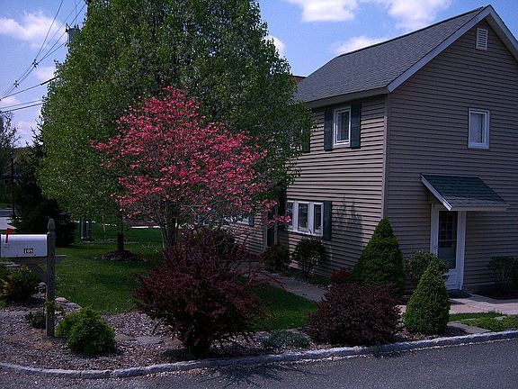 Dogwood in Bloom April 2008