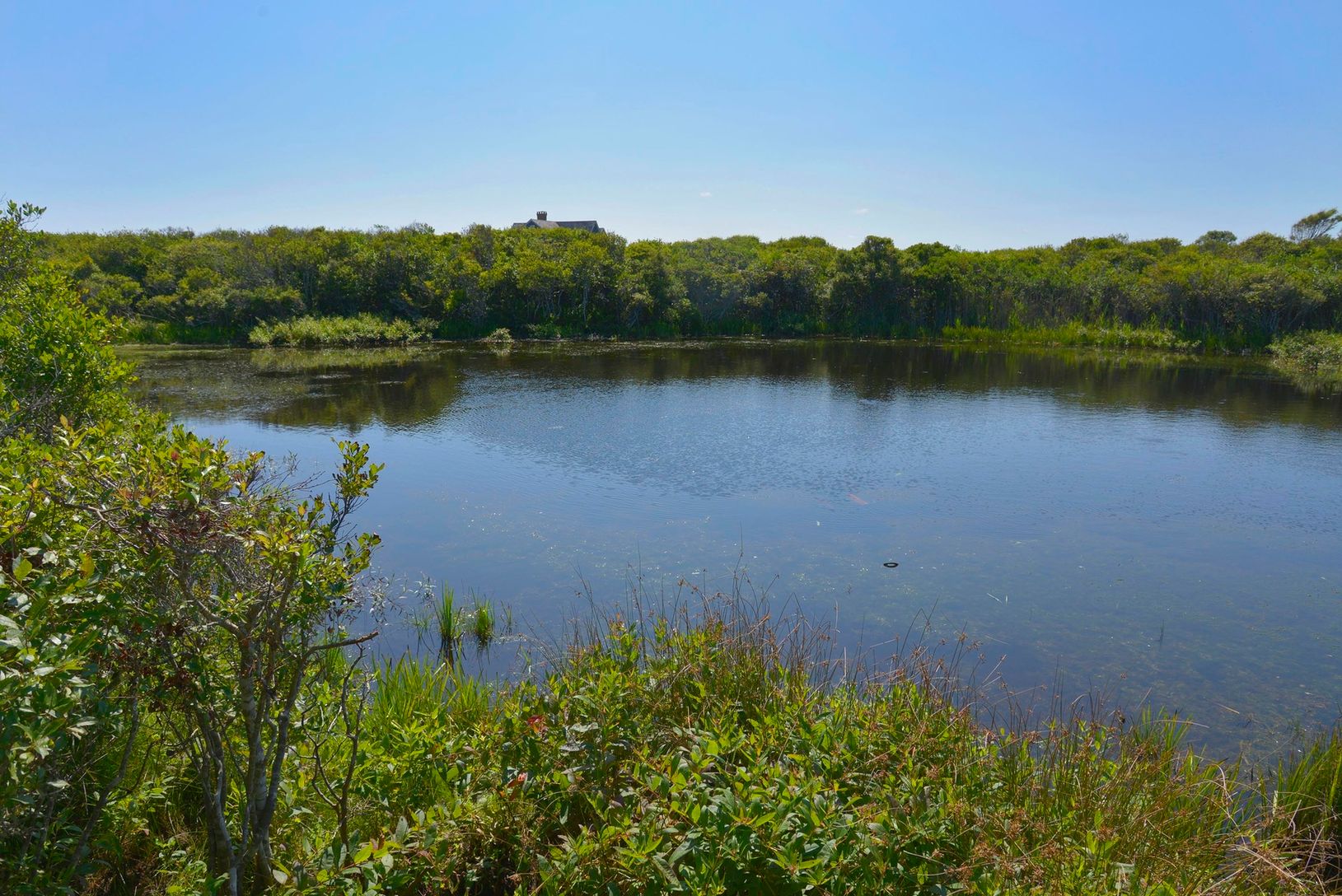  private pond