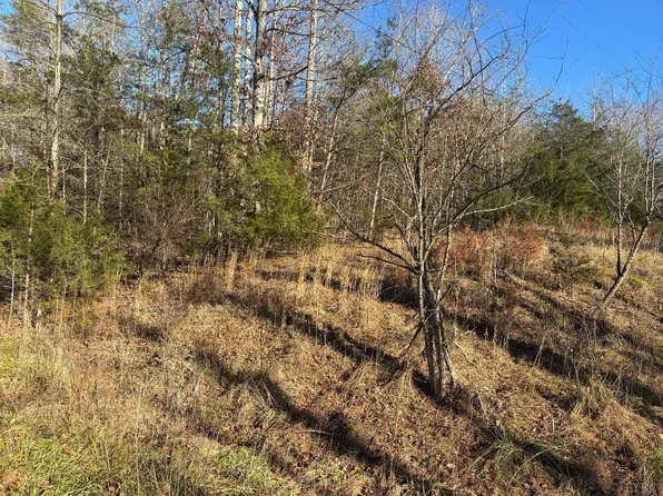 0 Chestnut Fork Rd Lot 4&5, Bedford, VA 24523