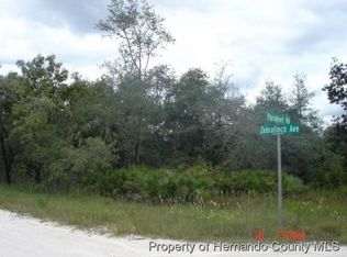 10225 Zebrafinch Ave, Weeki Wachee, FL 34614