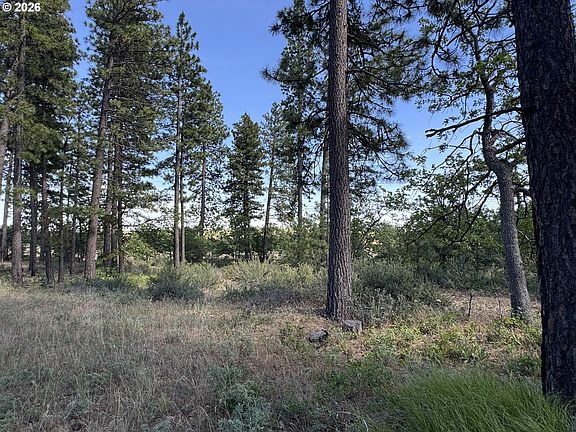 3rd image of 112 Timber Rd