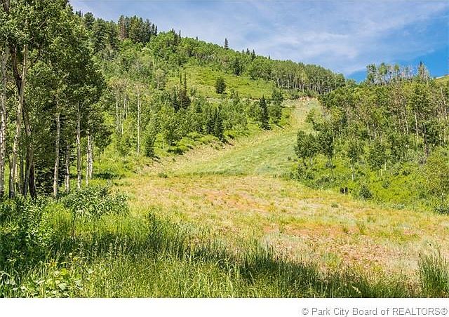 1st image of 78 White Pine Canyon Rd