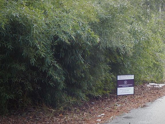 5th image of 3940 S Shore Dr