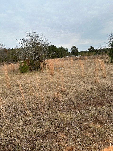 2nd image of 2025 Haywood Choice Rd