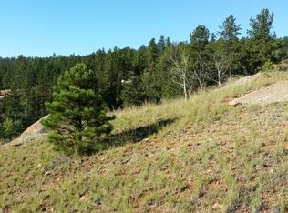 881 Stonehenge Dr, Florissant, CO 80816