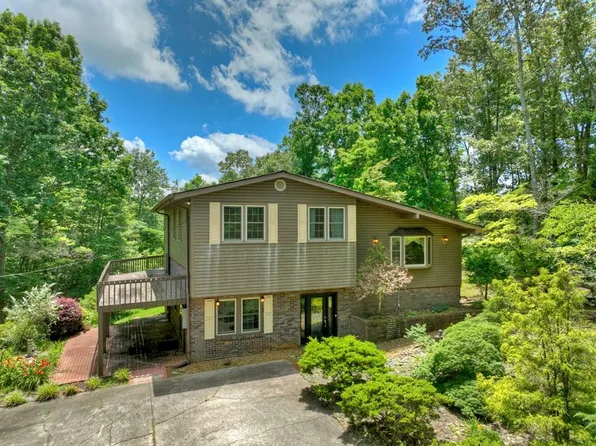 423 Chinquapin Rd, Ellijay, GA 30536