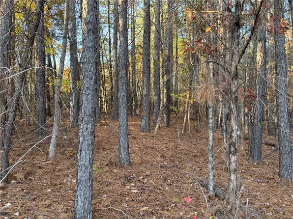 1940 Pleasant Hill Rd Lot 2, Greer, SC 29651