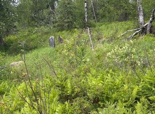 22909 E Rampart Loop, Talkeetna, AK 99676