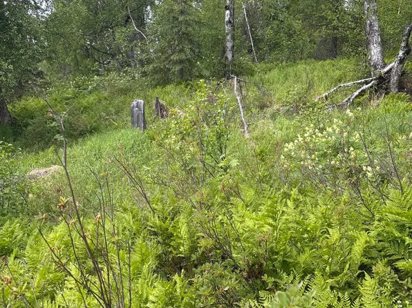 22909 E Rampart Loop, Talkeetna, AK 99676