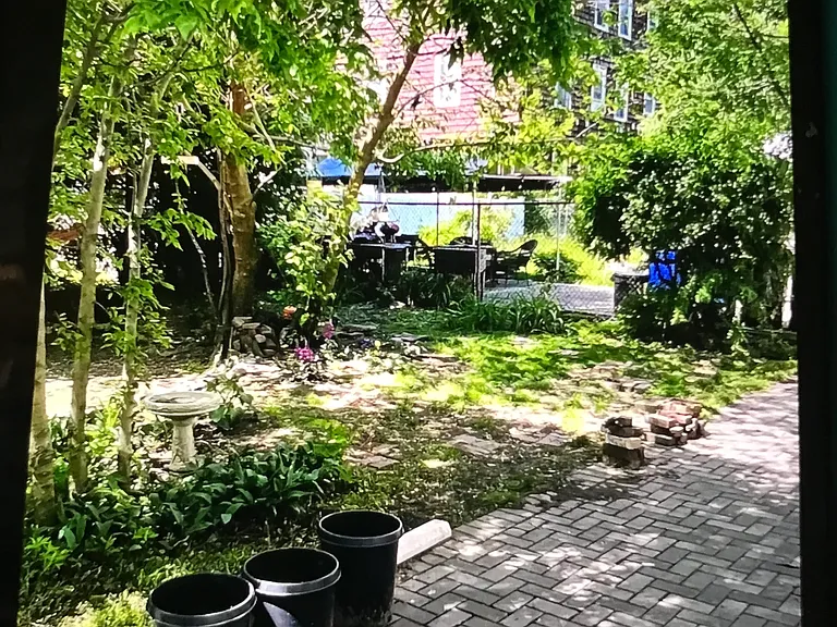 Yard