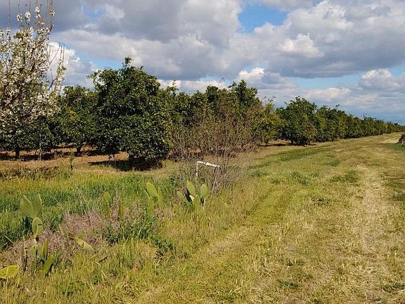 3rd image of 38954 Road 80