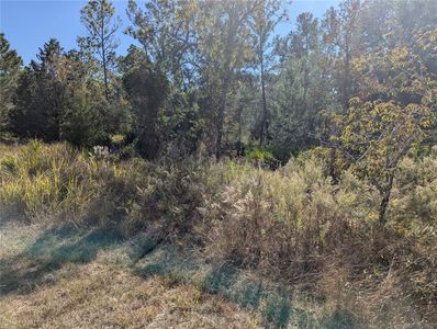11228 Fool Duck Ave Lot 2, Brooksville, FL, 34613