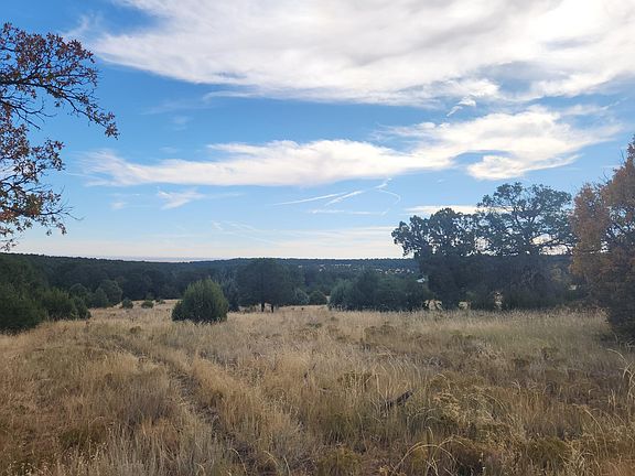 5th image of Camino De Las Palas
