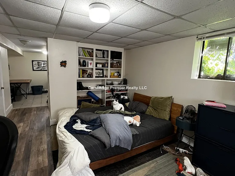 19 Cameron Ave #4 — Photo 12