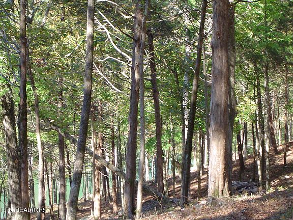 4th image of LOT 125 Saddleridge Dr