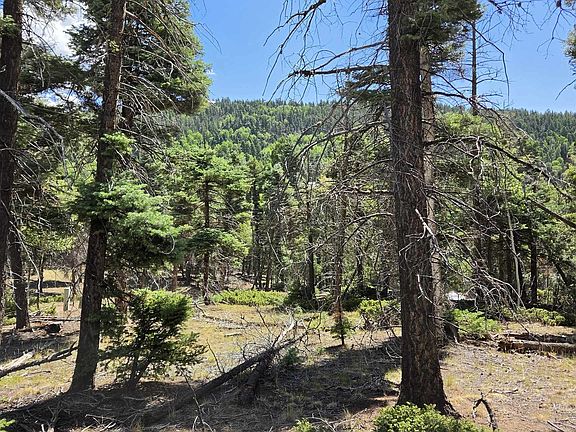 4th image of 357 vail loop