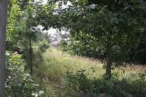 2nd image of West Dr