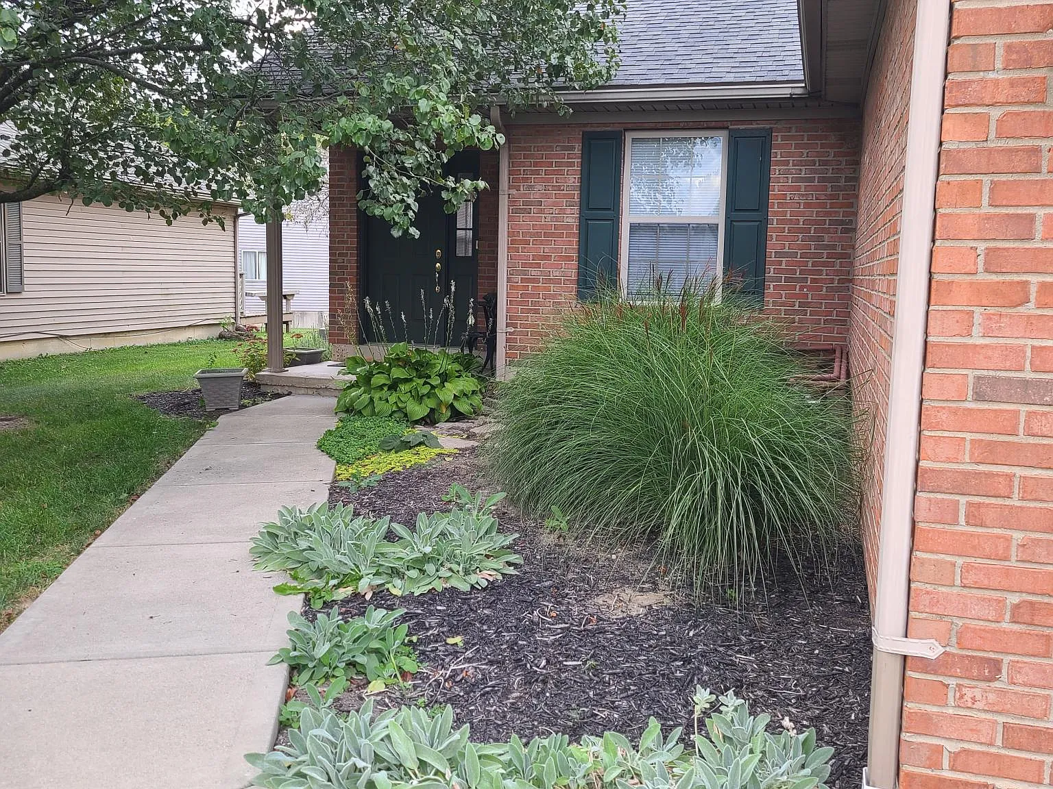 2 bed, 1250 sqft, $1,600 — Photo 2