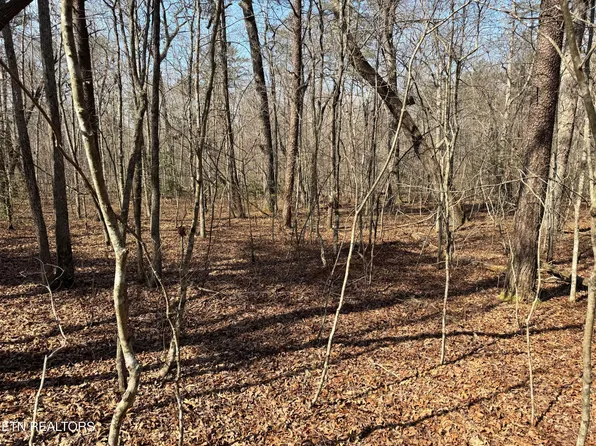 Ash Pl #26, Monterey, TN 38574